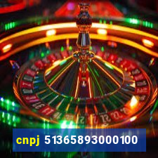 cnpj 51365893000100